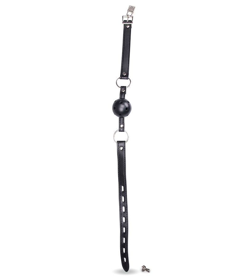 BDSM ball gag with Lock