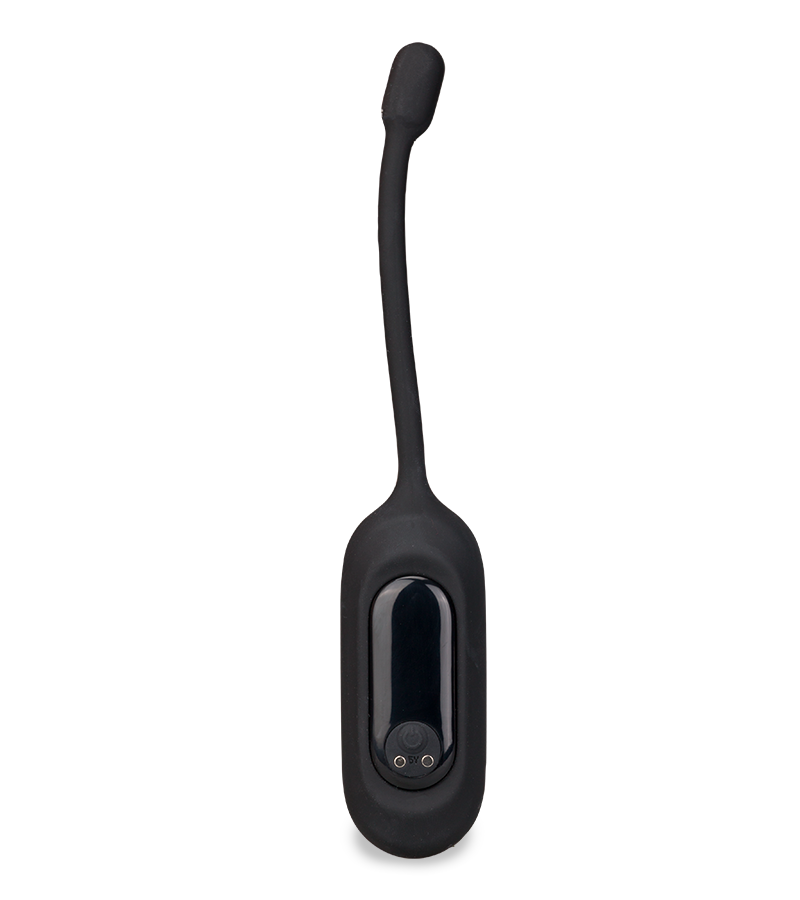 Eureka remote control vibrating egg