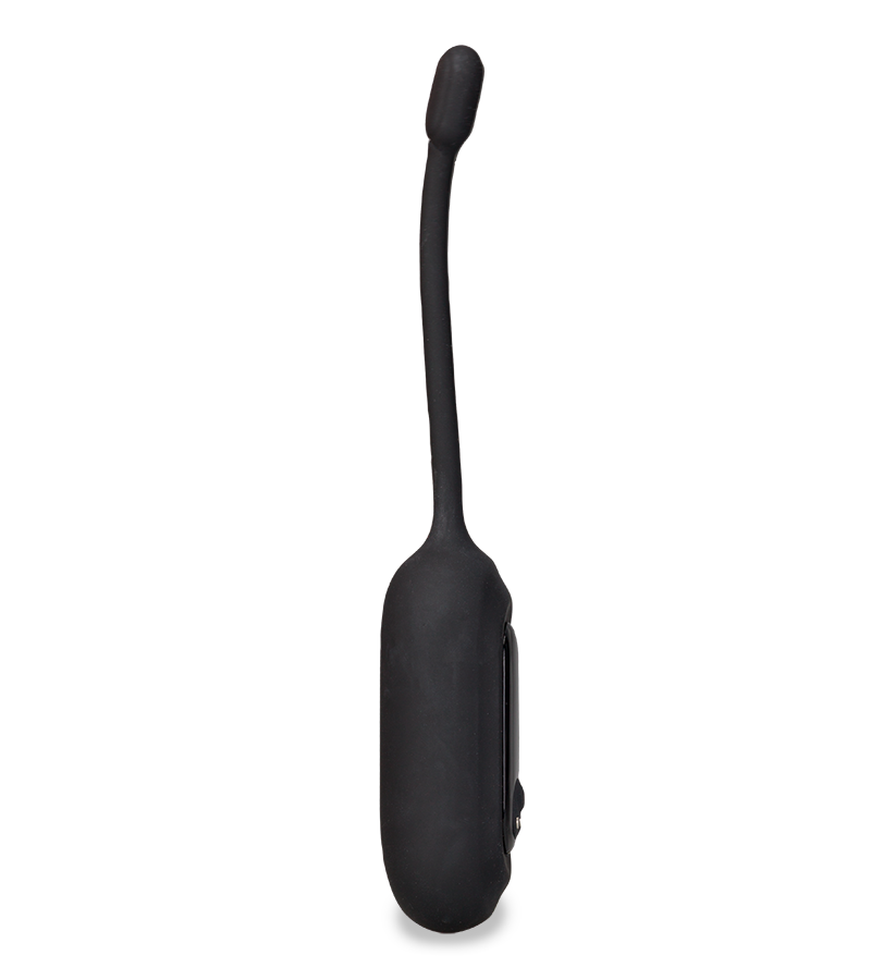Eureka remote control vibrating egg
