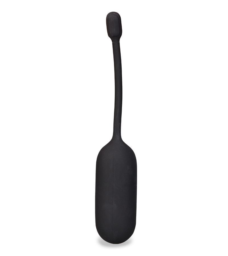 Eureka remote control vibrating egg